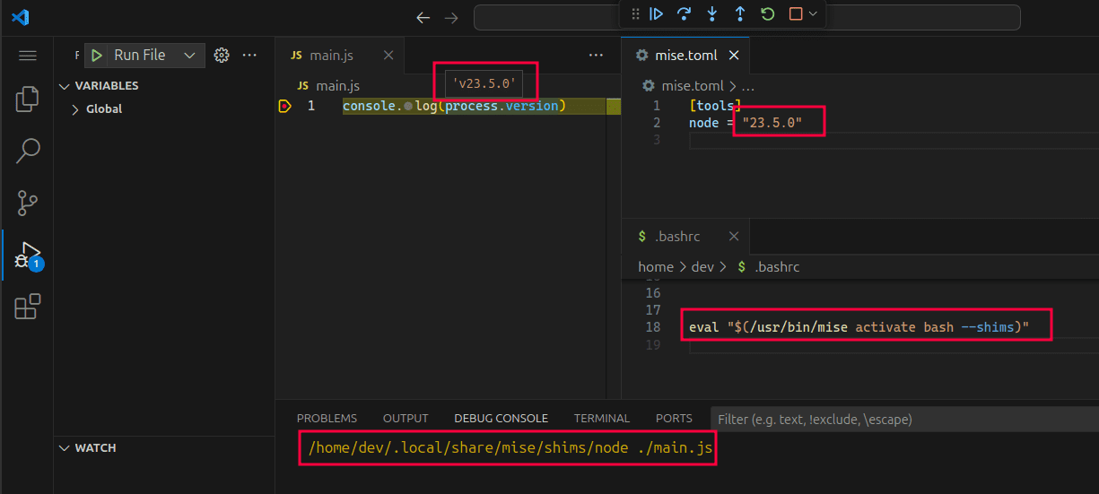 vscode using shims